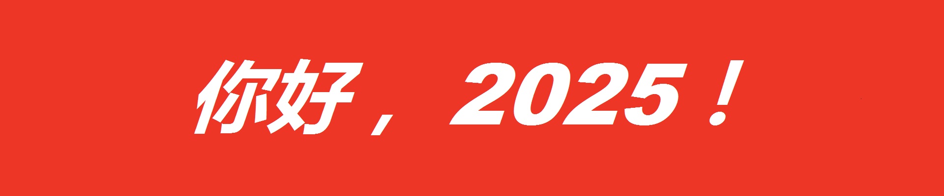 你好，2025
